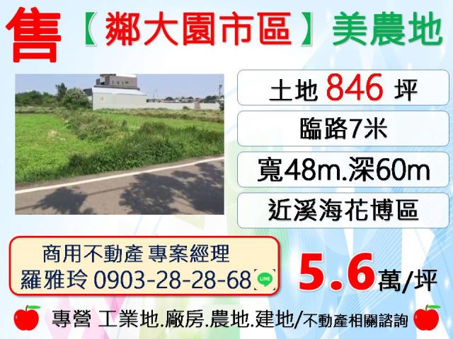 桃園大園農地-0