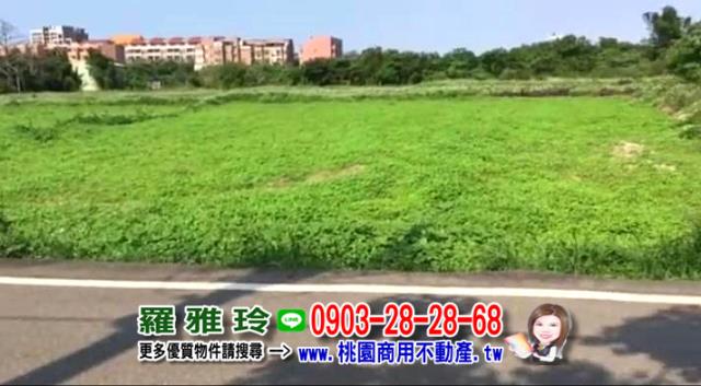 桃園大園農地-2