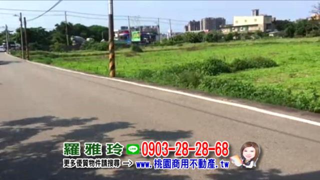 桃園大園農地-3