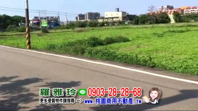 桃園大園農地-4