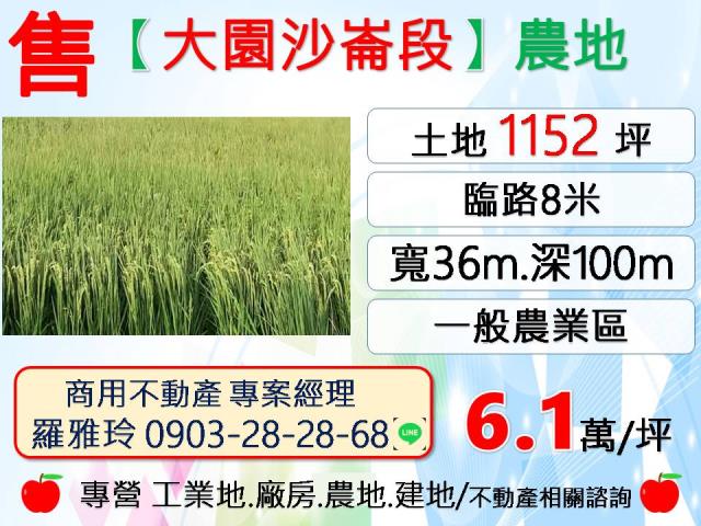 桃園大園農地-0