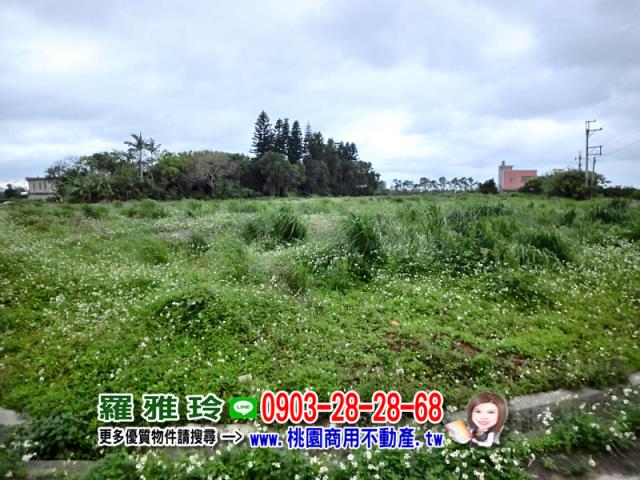觀音建地-9