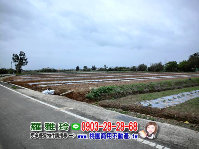 觀音建地-2