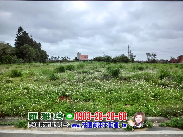 觀音建地-3