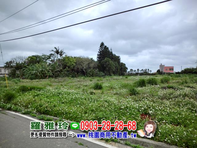 觀音建地-4