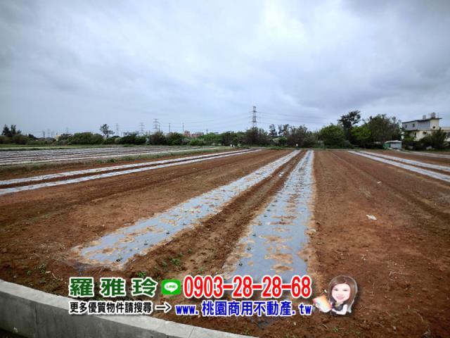 觀音建地-6
