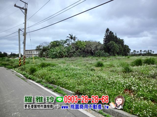 觀音建地-8