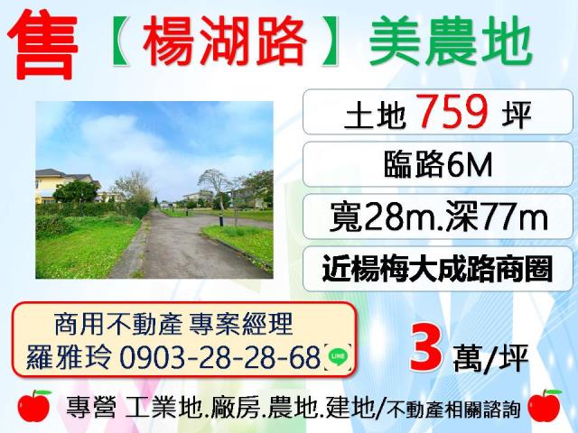 桃園農地-0