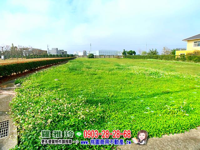桃園農地-1