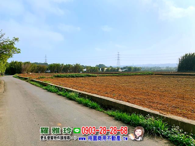 桃園農地-2
