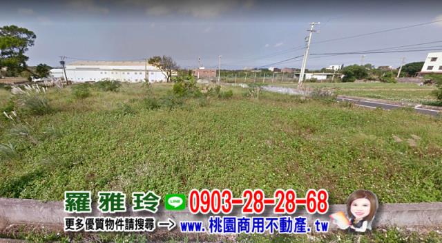 桃園建地-4