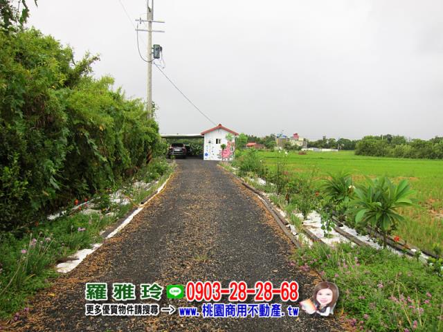 桃園觀音農地-1