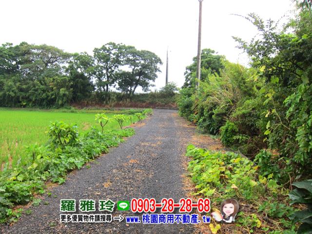 桃園觀音農地-2