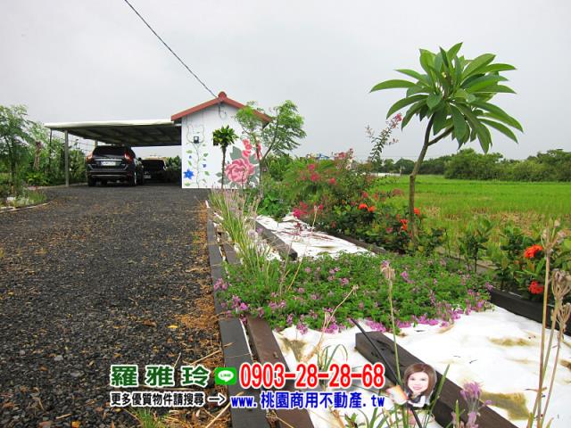 桃園觀音農地-3