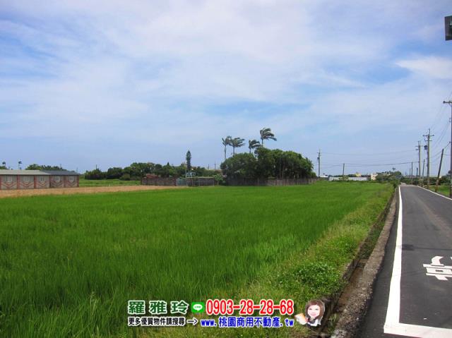桃園中壢建地-3
