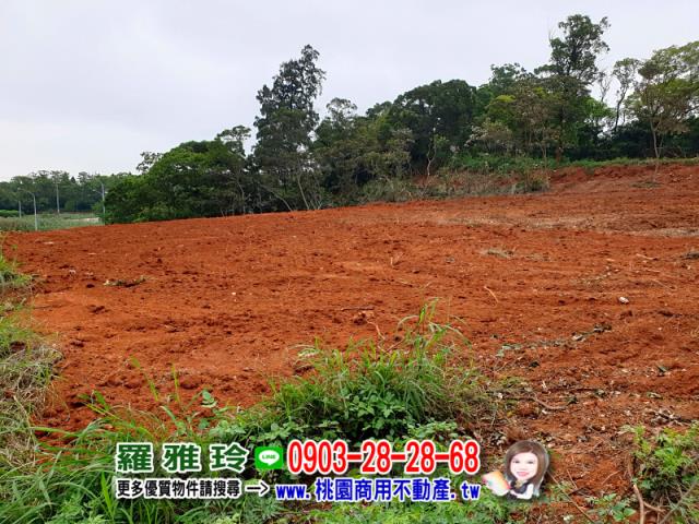 桃園楊梅農地-3