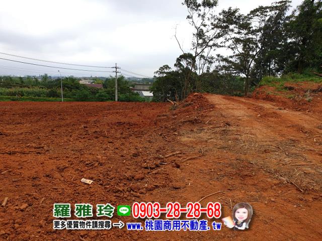 桃園楊梅農地-5