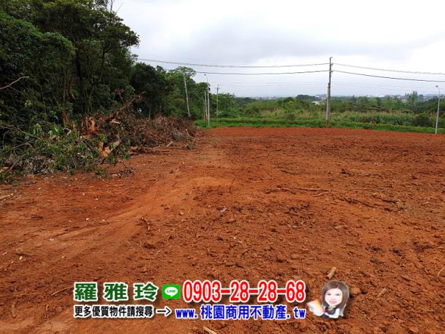 桃園楊梅農地-6
