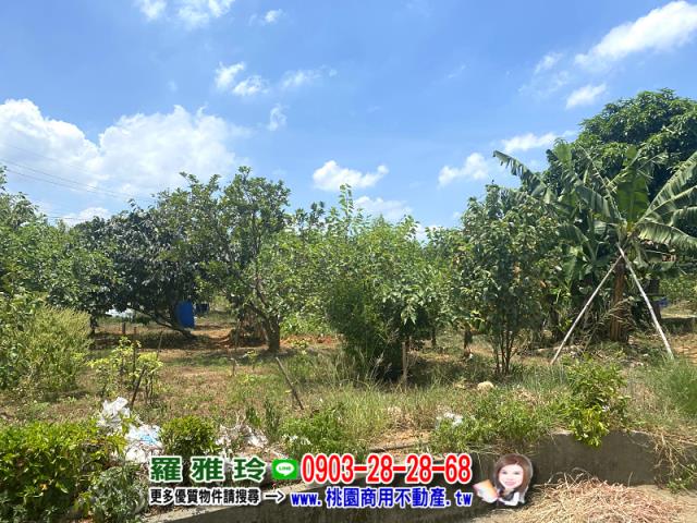 桃園楊梅農地-4