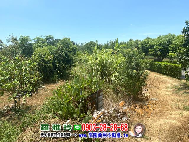 桃園楊梅農地-5