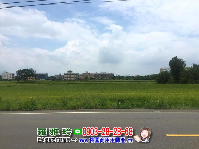 桃園農地-6