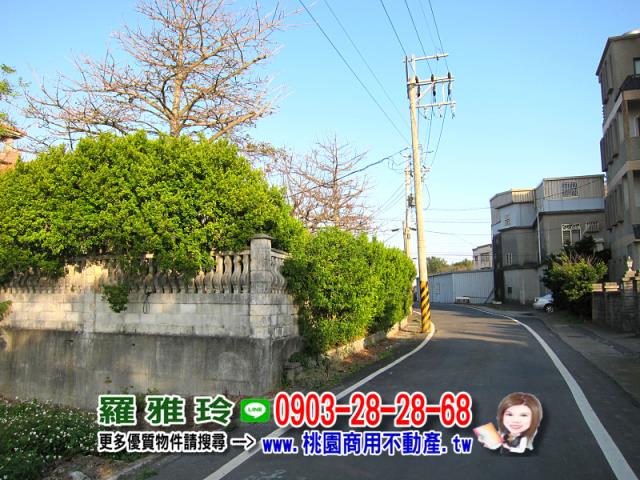 桃園農地-1