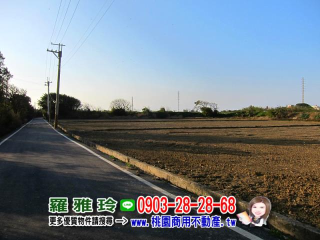 桃園農地-2