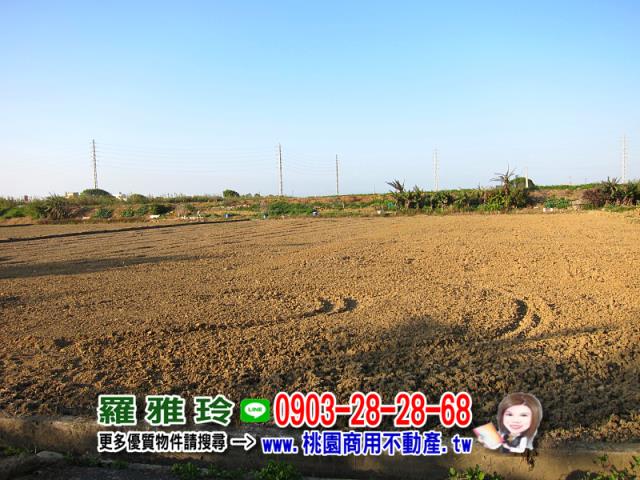 桃園農地-3