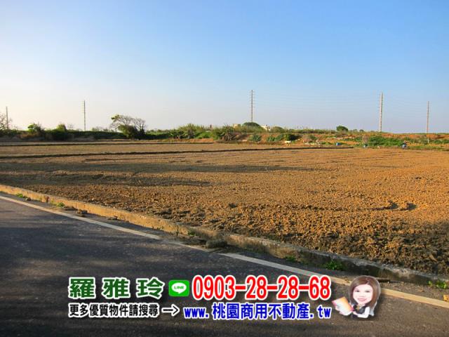 桃園農地-4