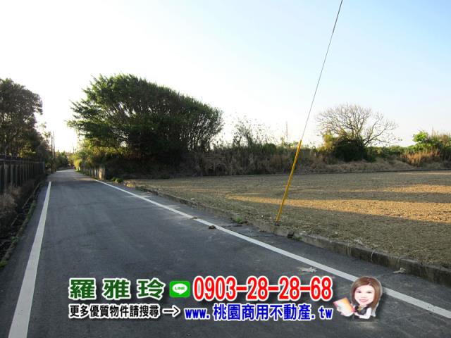 桃園農地-5