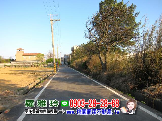 桃園農地-6