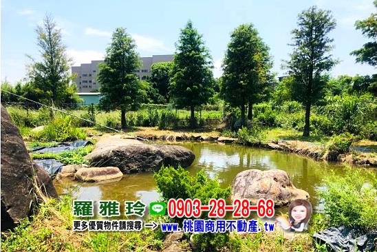 觀音農地-3