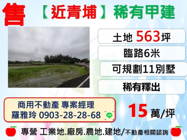 桃園大園建地-0