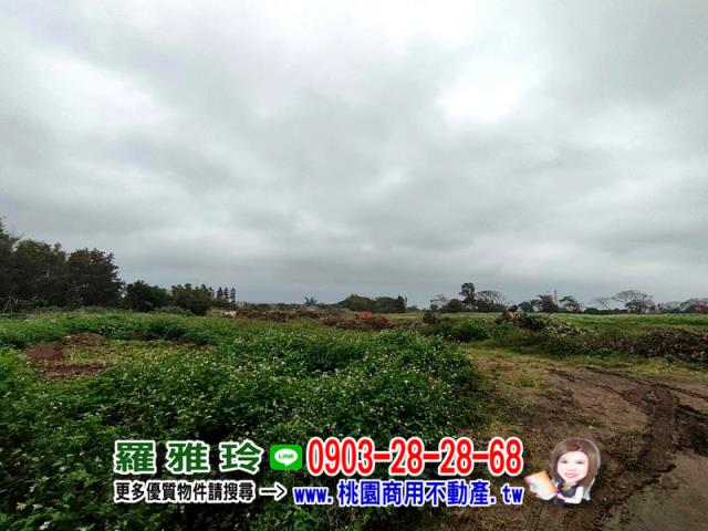 桃園大園建地-1