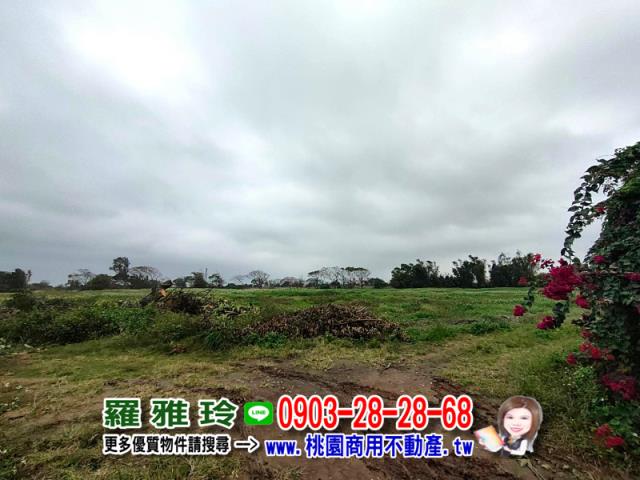 桃園大園建地-2
