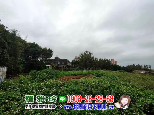 桃園大園建地-3