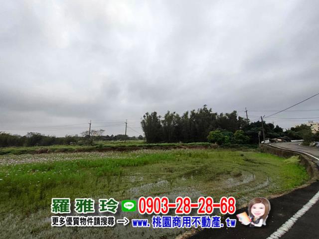 桃園大園建地-4