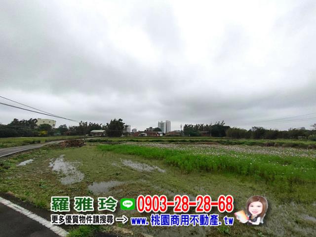桃園大園建地-5