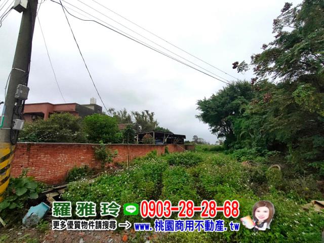 桃園大園建地-6