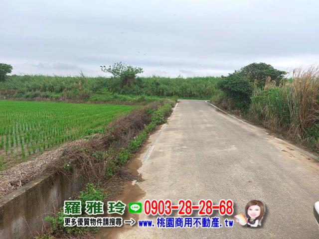 楊梅農地-2