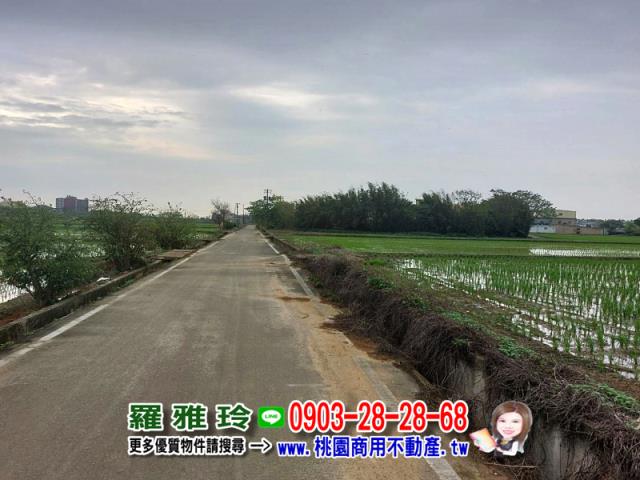 楊梅農地-3