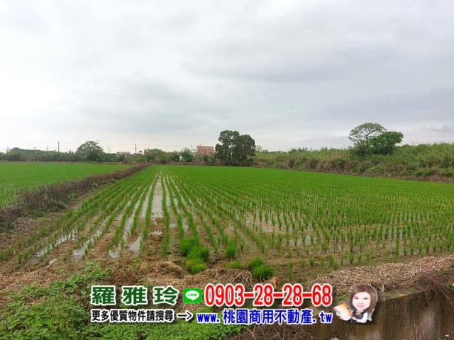 楊梅農地-4