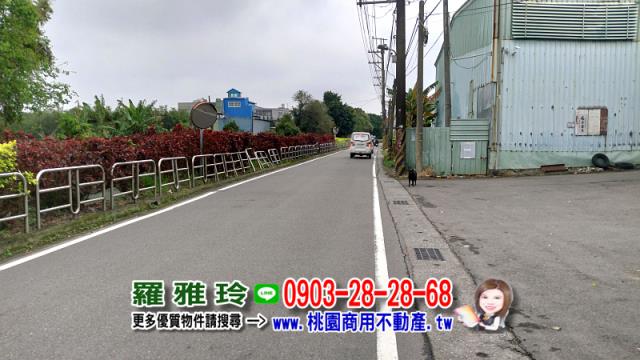 桃園農地-9