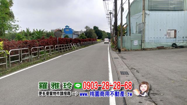 桃園農地-10