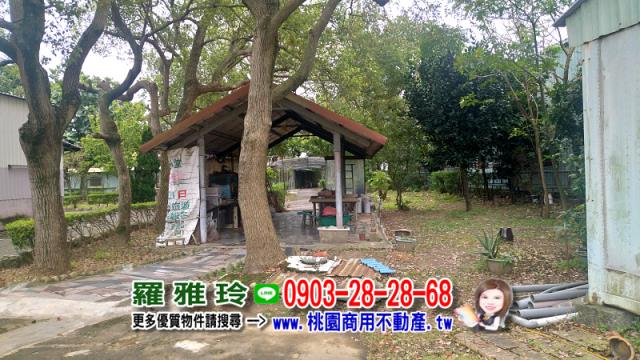 桃園農地-12