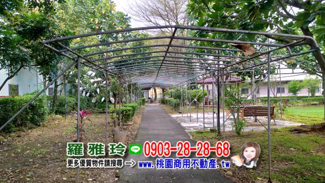桃園農地-2