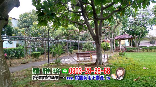 桃園農地-3