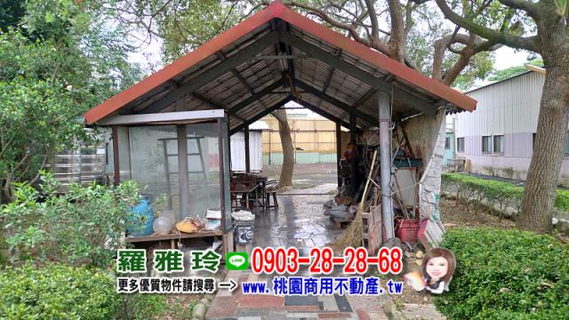 桃園農地-4