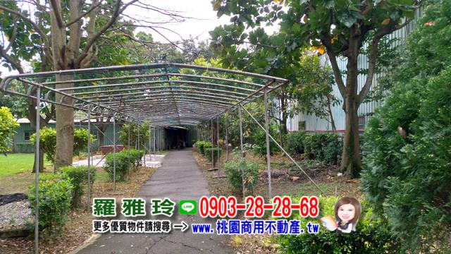 桃園農地-5