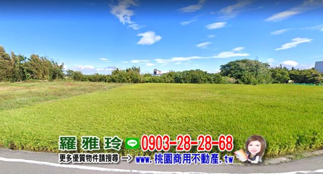 桃園八德農地-2